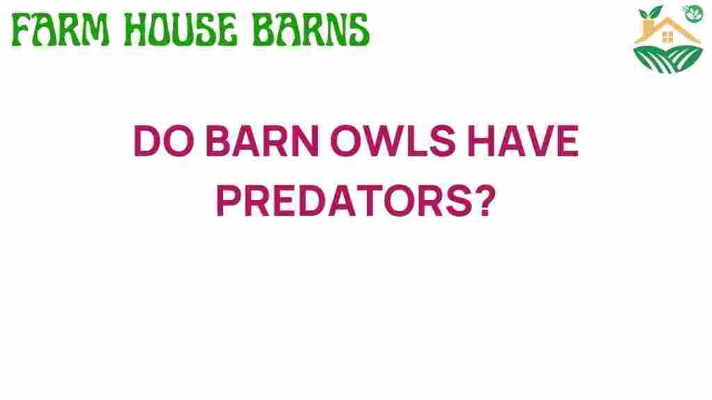 do-barn-owls-have-predators