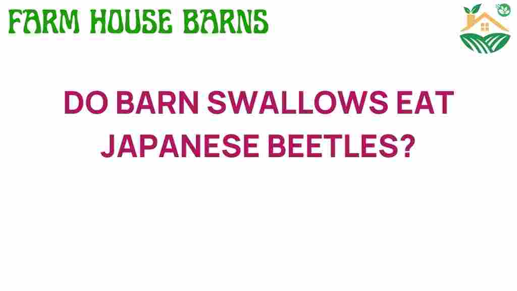 do-barn-swallows-eat-japanese-beetles