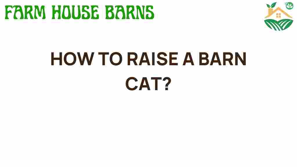 how-to-raise-a-barn-cat