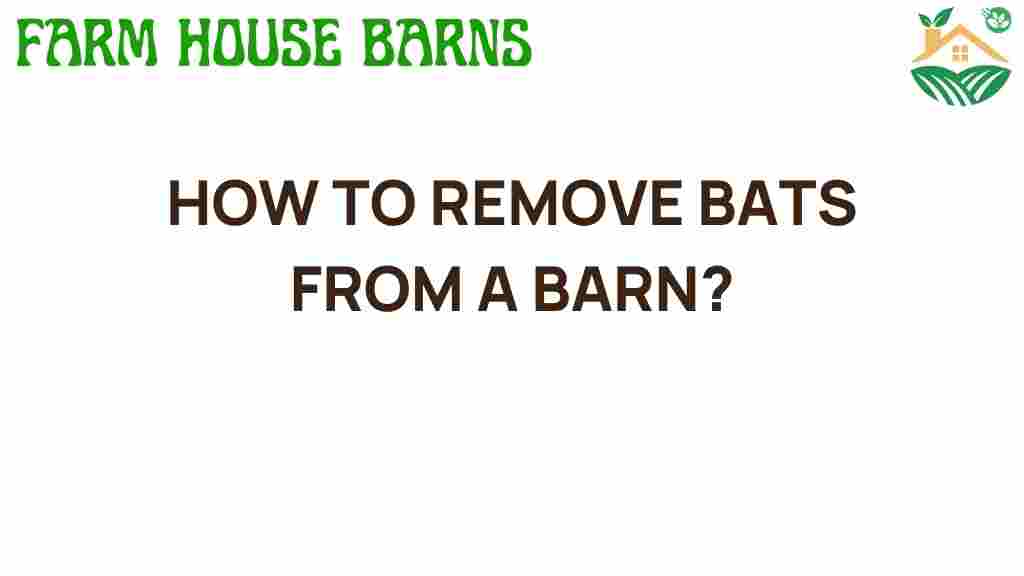bats-removal-from-barn
