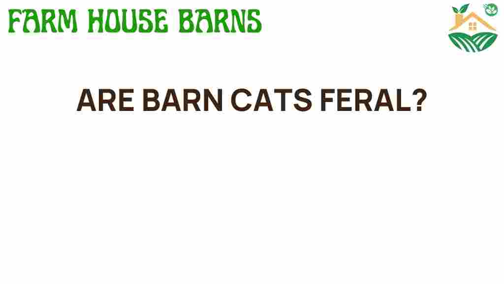 are-barn-cats-feral