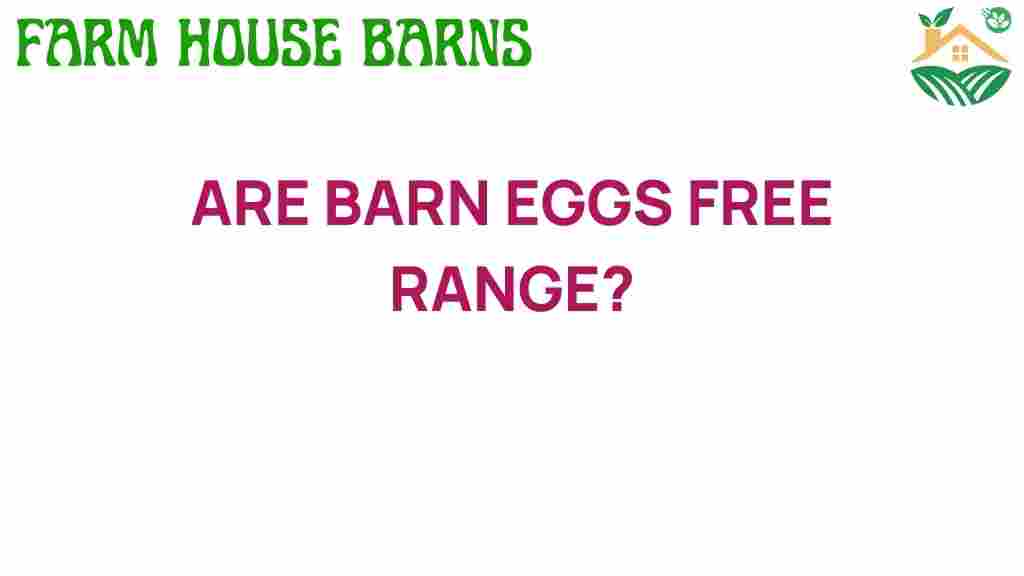 are-barn-eggs-free-range