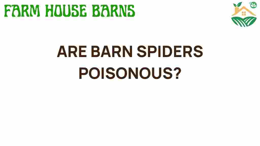 are-barn-spiders-poisonous