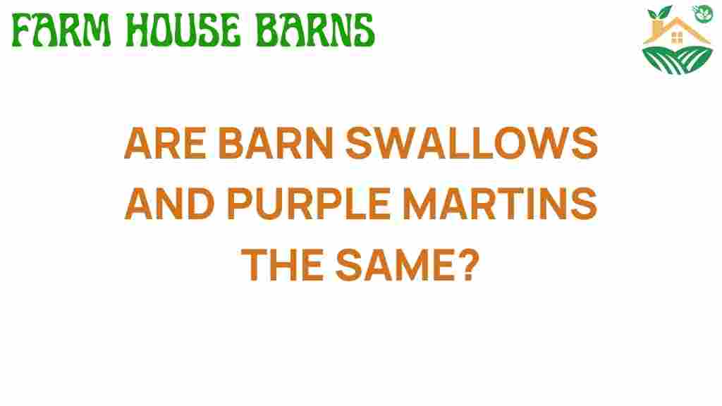 barn-swallows-purple-martins-same