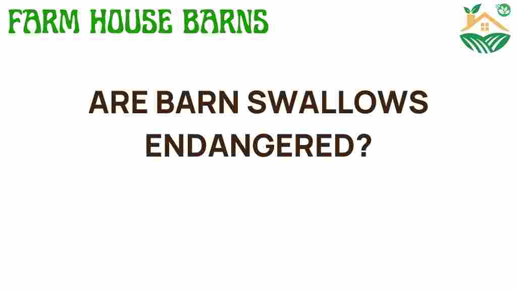 are-barn-swallows-endangered