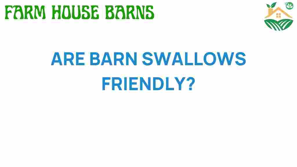 are-barn-swallows-friendly