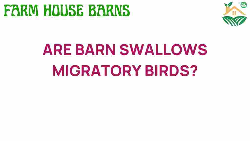 are-barn-swallows-migratory-birds