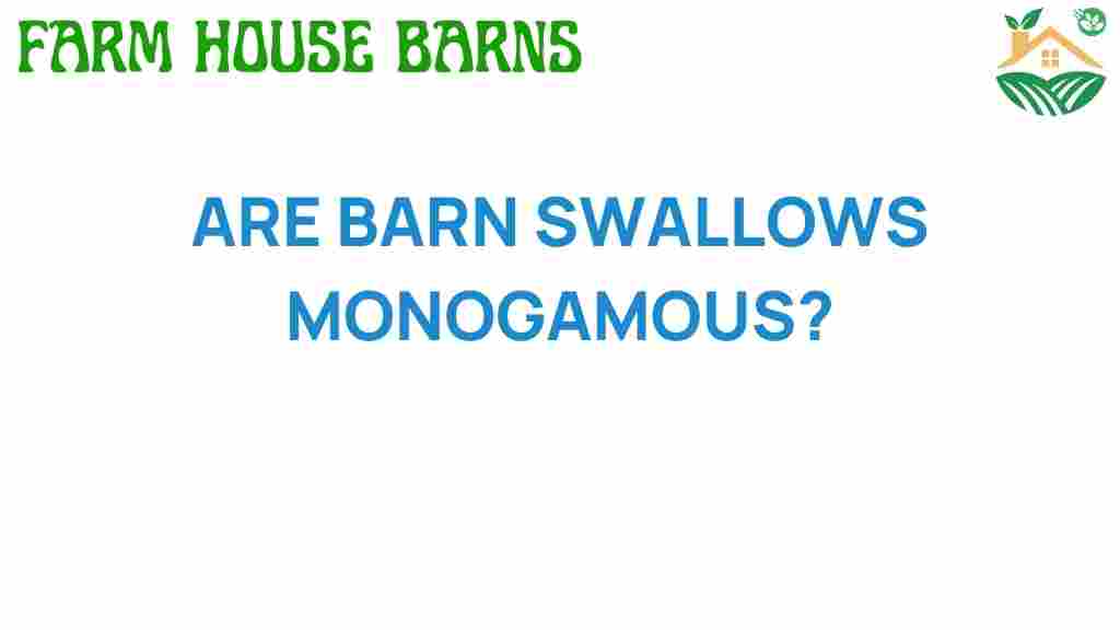 barn-swallows-monogamous