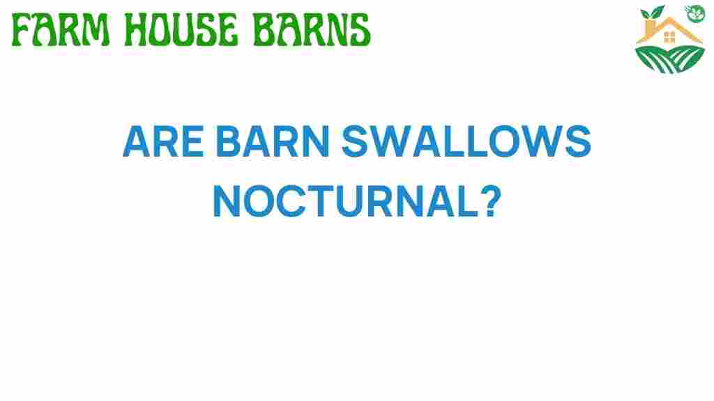 are-barn-swallows-nocturnal