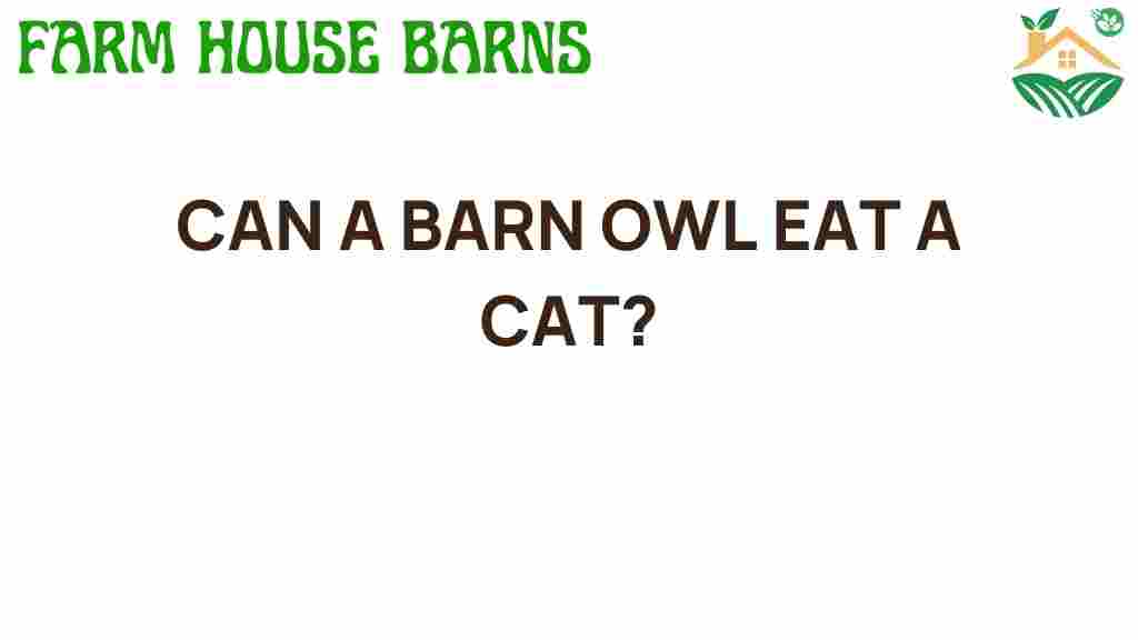 can-a-barn-owl-eat-a-cat