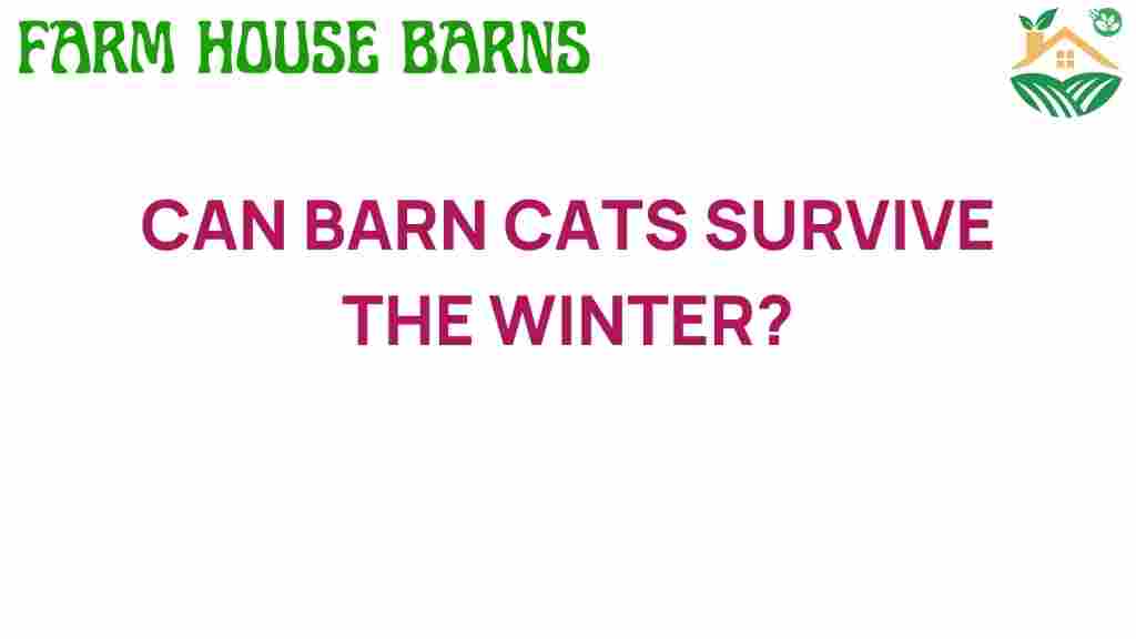 can-barn-cats-survive-winter