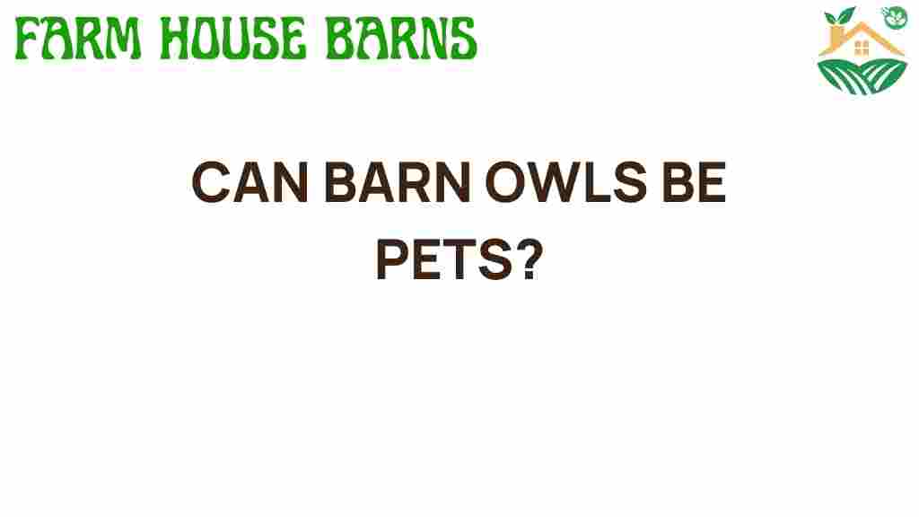 can-barn-owls-be-pets