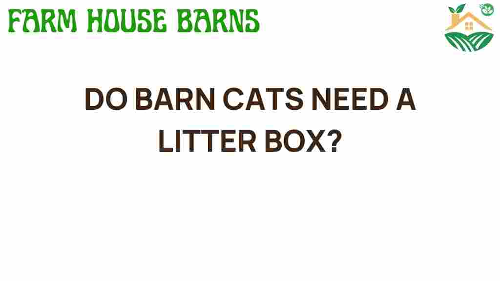 do-barn-cats-need-a-litter-box
