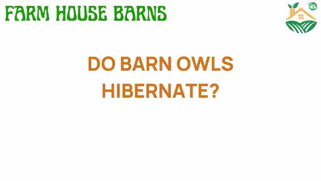 do-barn-owls-hibernate