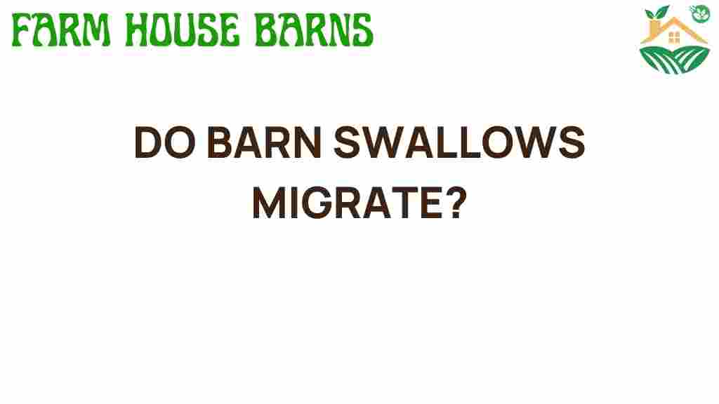 do-barn-swallows-migrate
