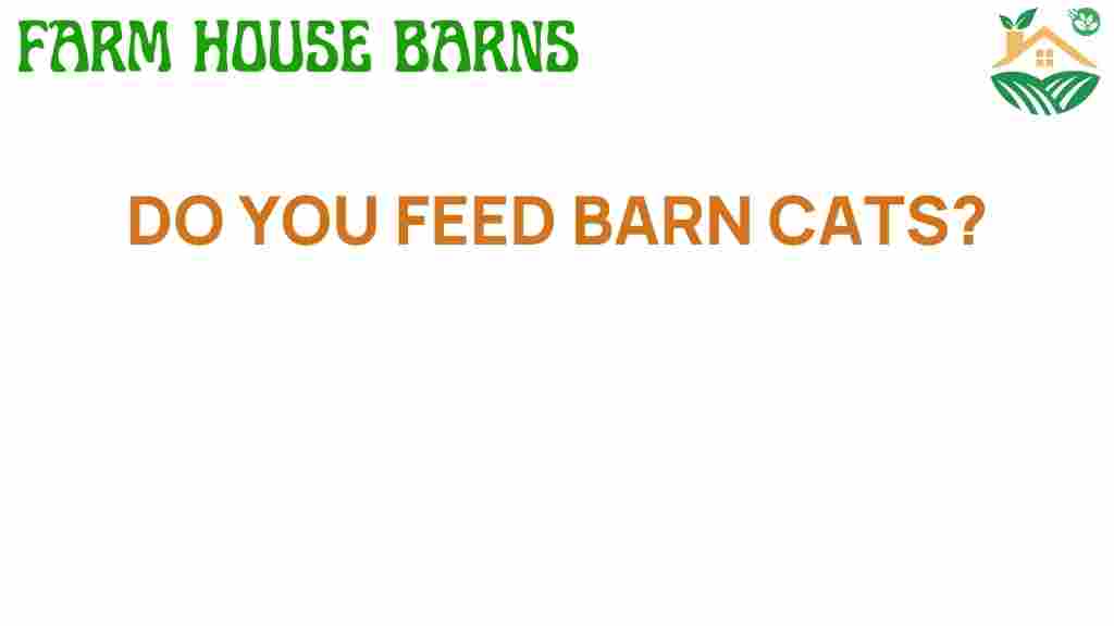 do-you-feed-barn-cats