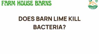 Does Barn Lime Kill Bacteria? Unveiling Its Role in Agriculture