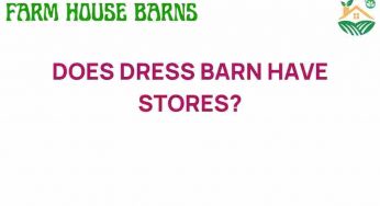 Does Dress Barn Have Stores? Unraveling the Retail Mystery