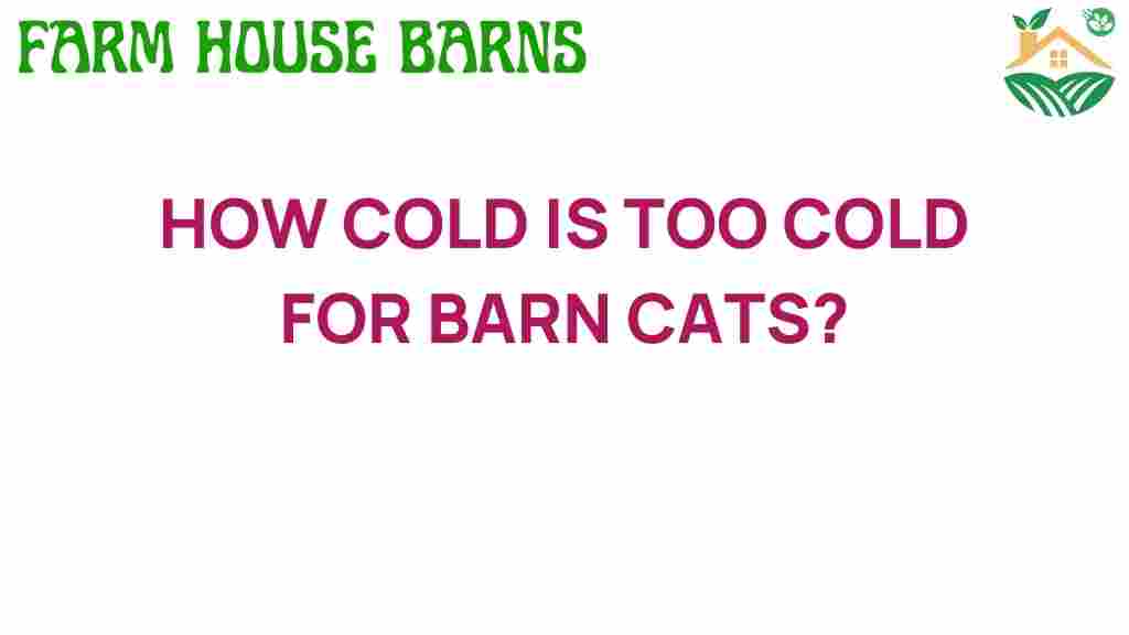 how-cold-is-too-cold-for-barn-cats