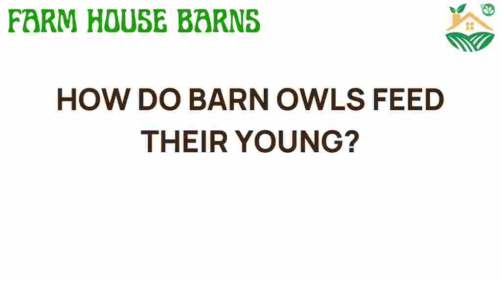 how-do-barn-owls-feed-their-young