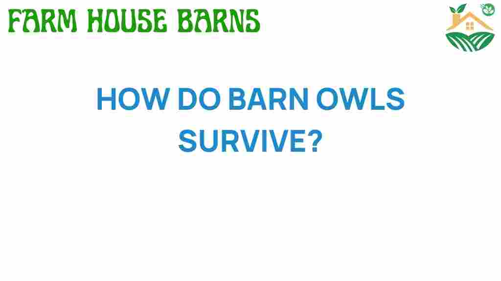 how-do-barn-owls-survive