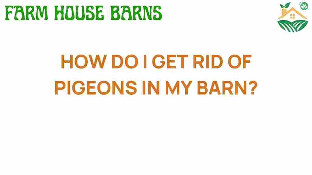 get-rid-of-pigeons-in-my-barn