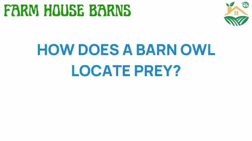 how-does-a-barn-owl-locate-prey