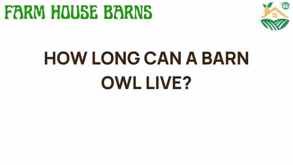 barn-owl-lifespan