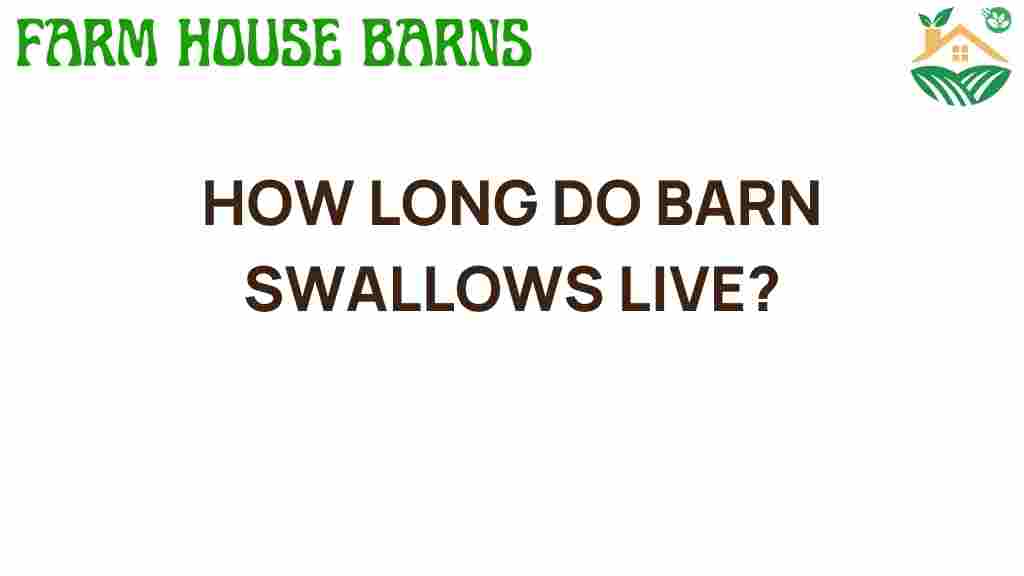 barn-swallows-lifespan