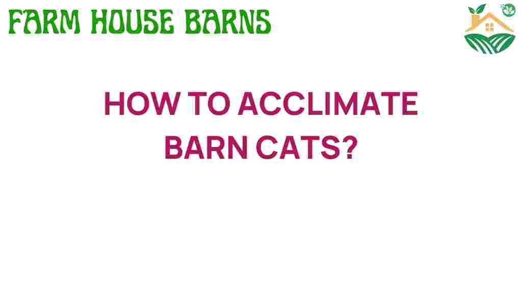 acclimate-barn-cats-guide