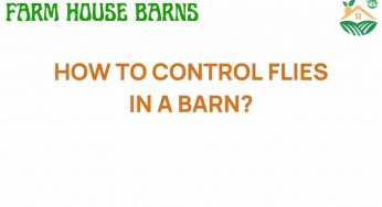 Mastering the Art of Fly Control in Your Barn: Expert Tips Revealed