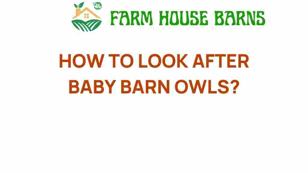 nurturing-baby-barn-owls