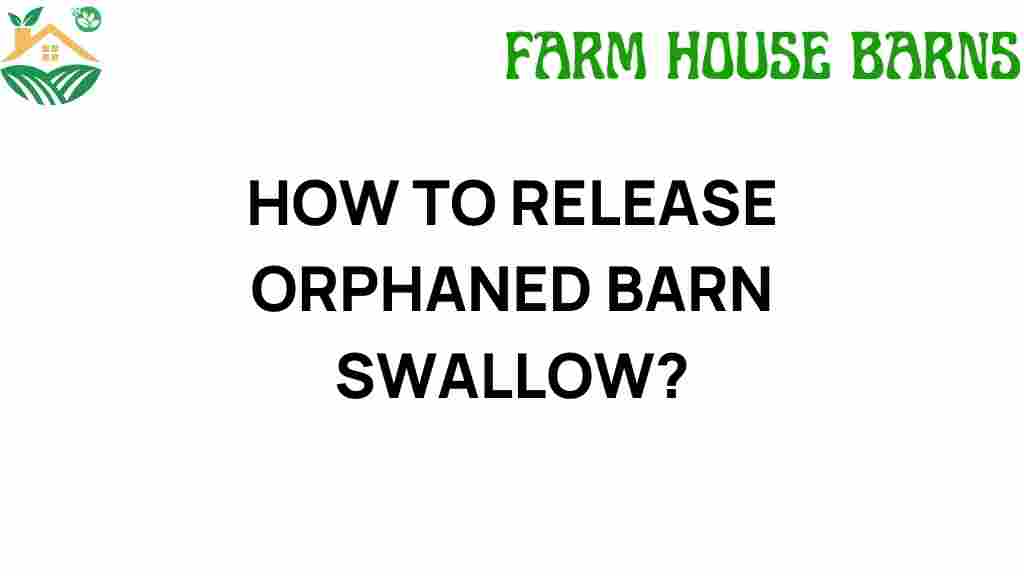 release-orphaned-barn-swallows
