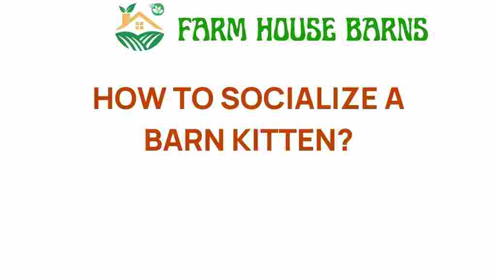 socializing-barn-kitten