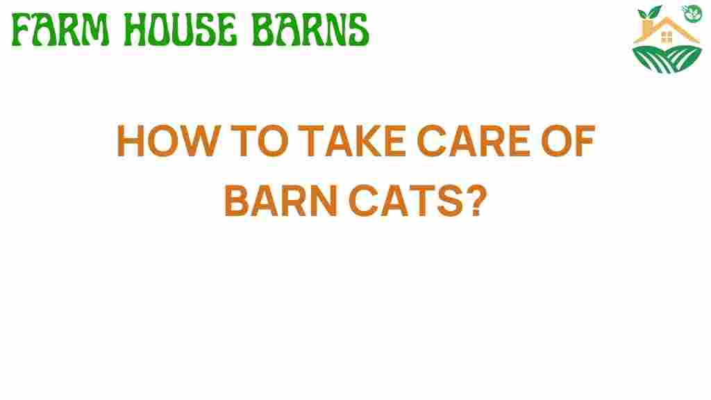 take-care-of-barn-cats
