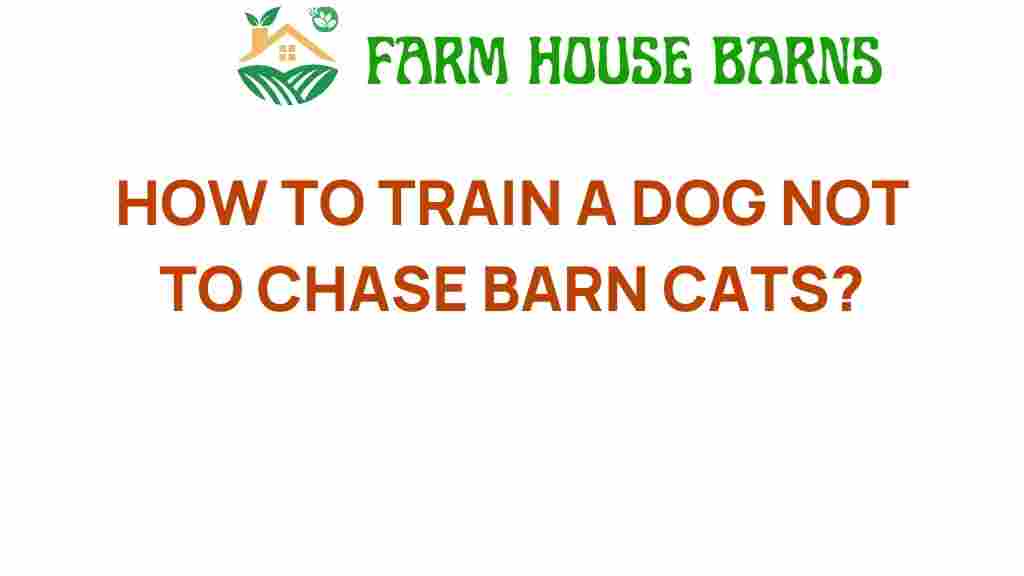 how-to-train-a-dog-not-to-chase-barn-cats