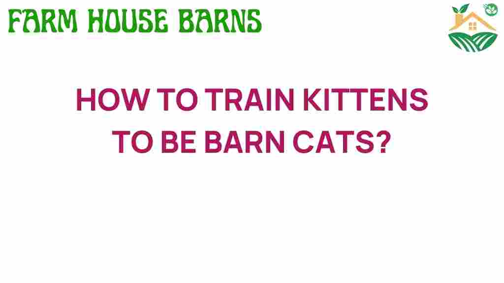 training-kittens-to-be-barn-cats