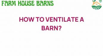 Mastering Barn Ventilation: Essential Tips for Optimal Airflow