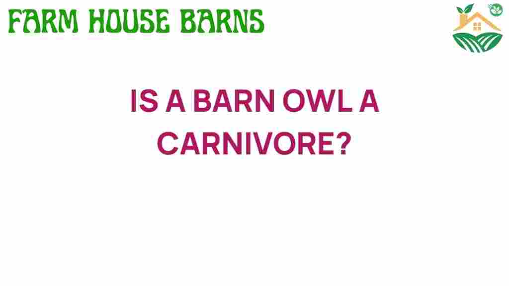 is-a-barn-owl-a-carnivore