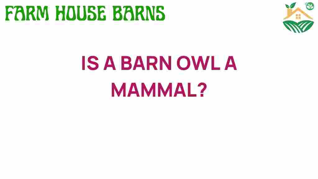 is-a-barn-owl-a-mammal