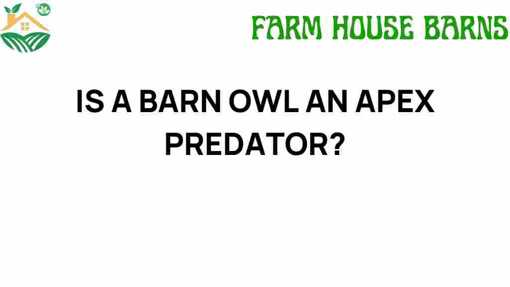 is-a-barn-owl-an-apex-predator
