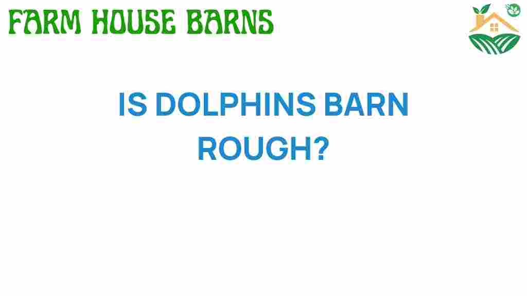 are-dolphins-barn-rough