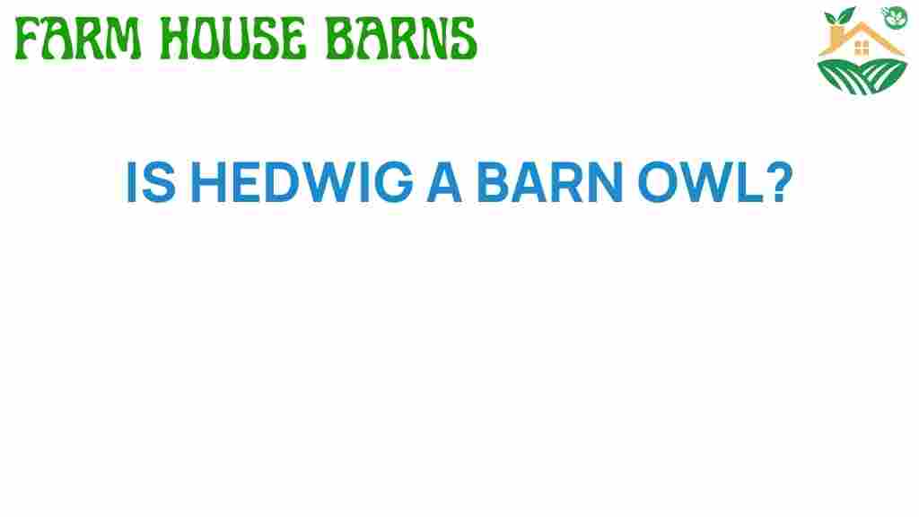 is-hedwig-a-barn-owl