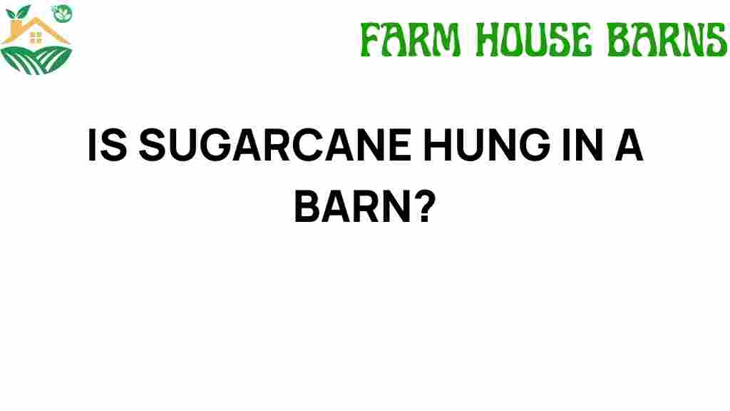 is-sugarcane-hung-in-a-barn