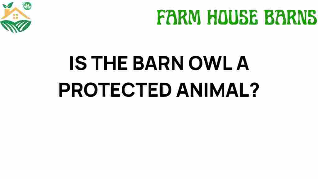 barn-owl-protected-animal