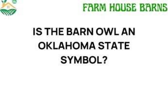 Is the Barn Owl an Oklahoma State Symbol? Unraveling the Mystery