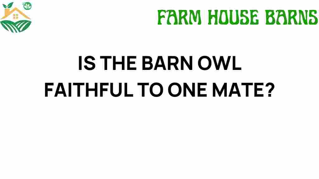 barn-owl-faithful-to-one-mate