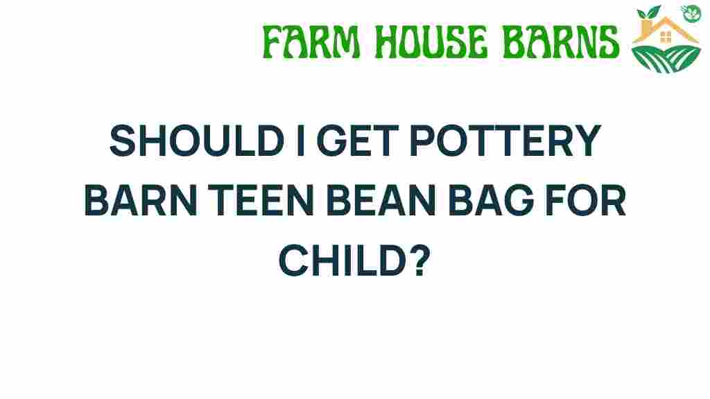 pottery-barn-teen-bean-bag-child