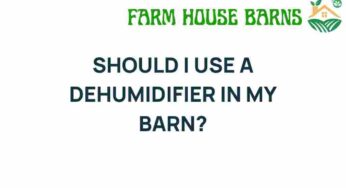 Should I Use a Dehumidifier in My Barn? Unraveling the Mystery