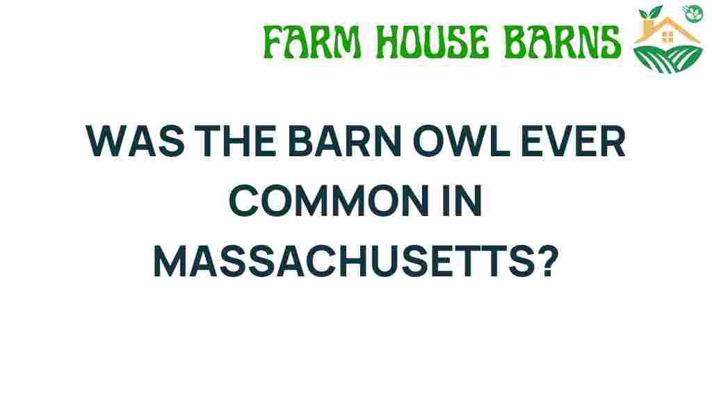 barn-owl-common-massachusetts